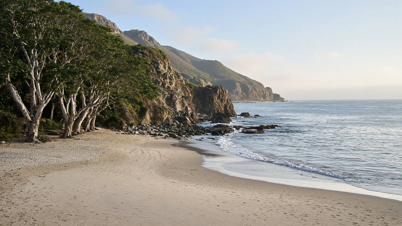 Sheltered crescent of Sycamore Cove between rocky points